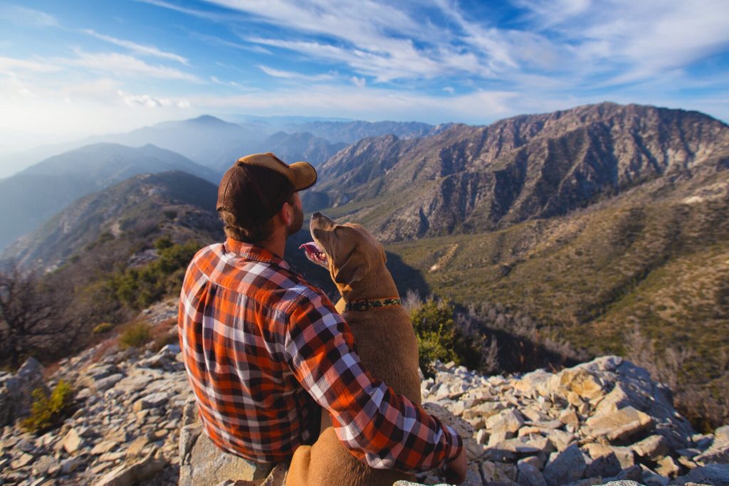 Man sitting with a dog looking at view of the mountains