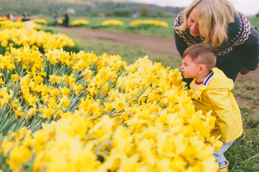 Mom and son looking at yellow flowers
