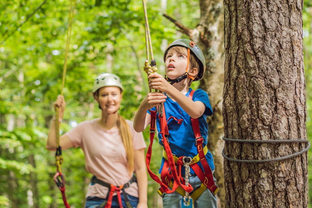 Kid Climbing Adventure Course with Safety Harness in Forest Park